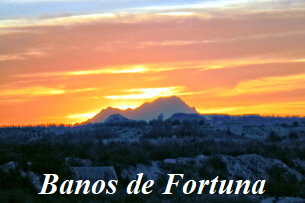 Fortuna 11-15 (5)