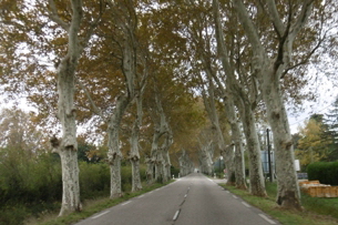 Tavernes de la Valldigna (24)