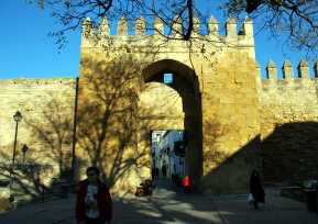 corduba-c